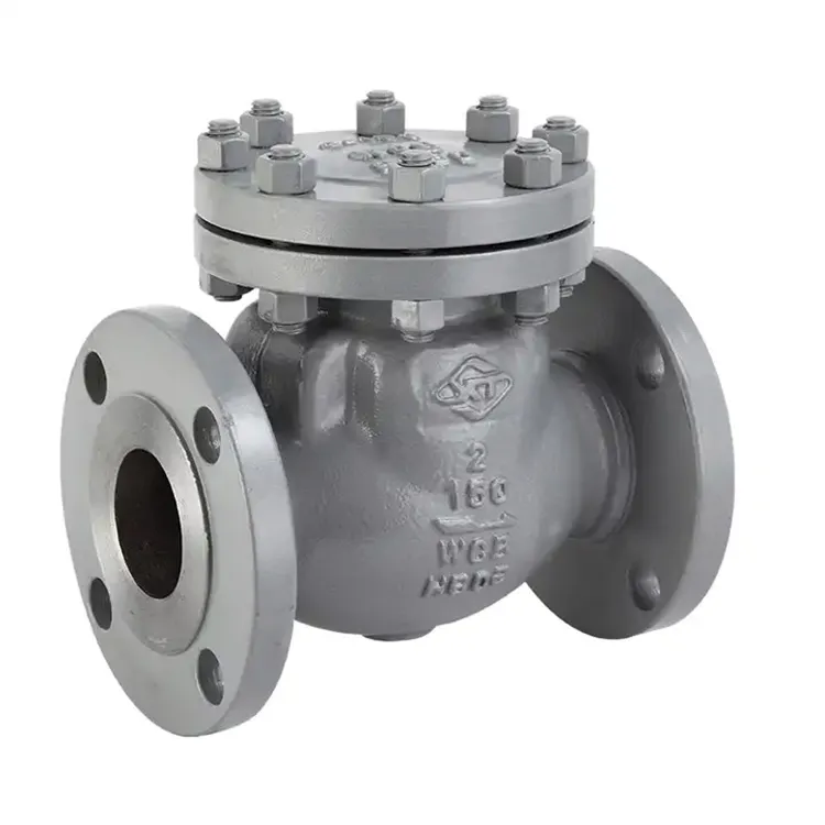Stainless Steel One Way Check Valve